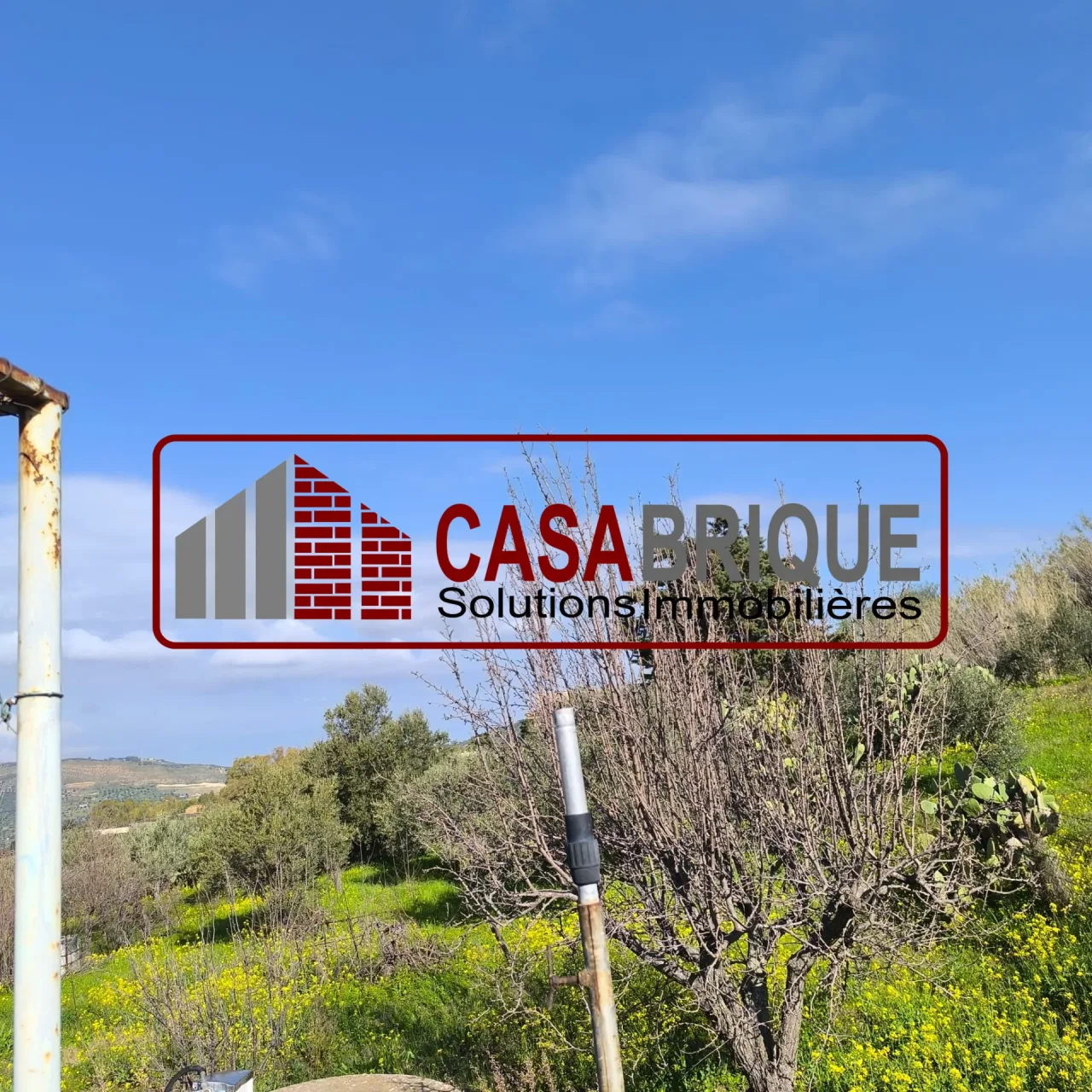 Villa à vendre à Ventimiglia di Sicilia, Sicile – photo 2