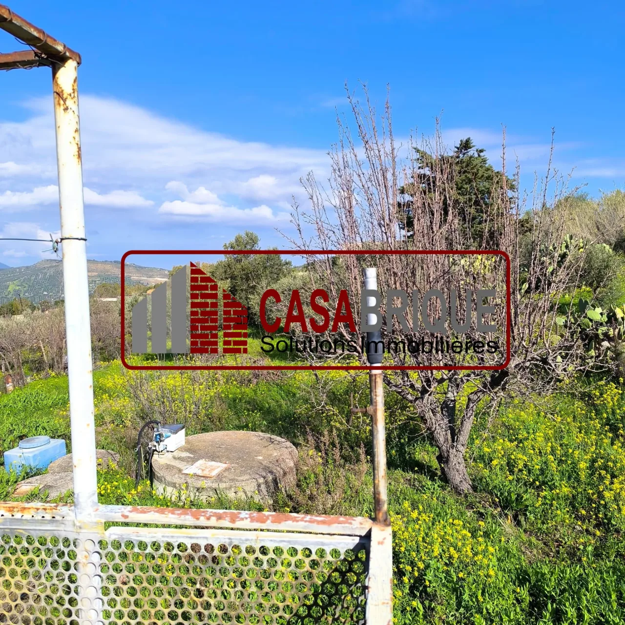 Villa à vendre à Ventimiglia di Sicilia, Sicile – photo 4