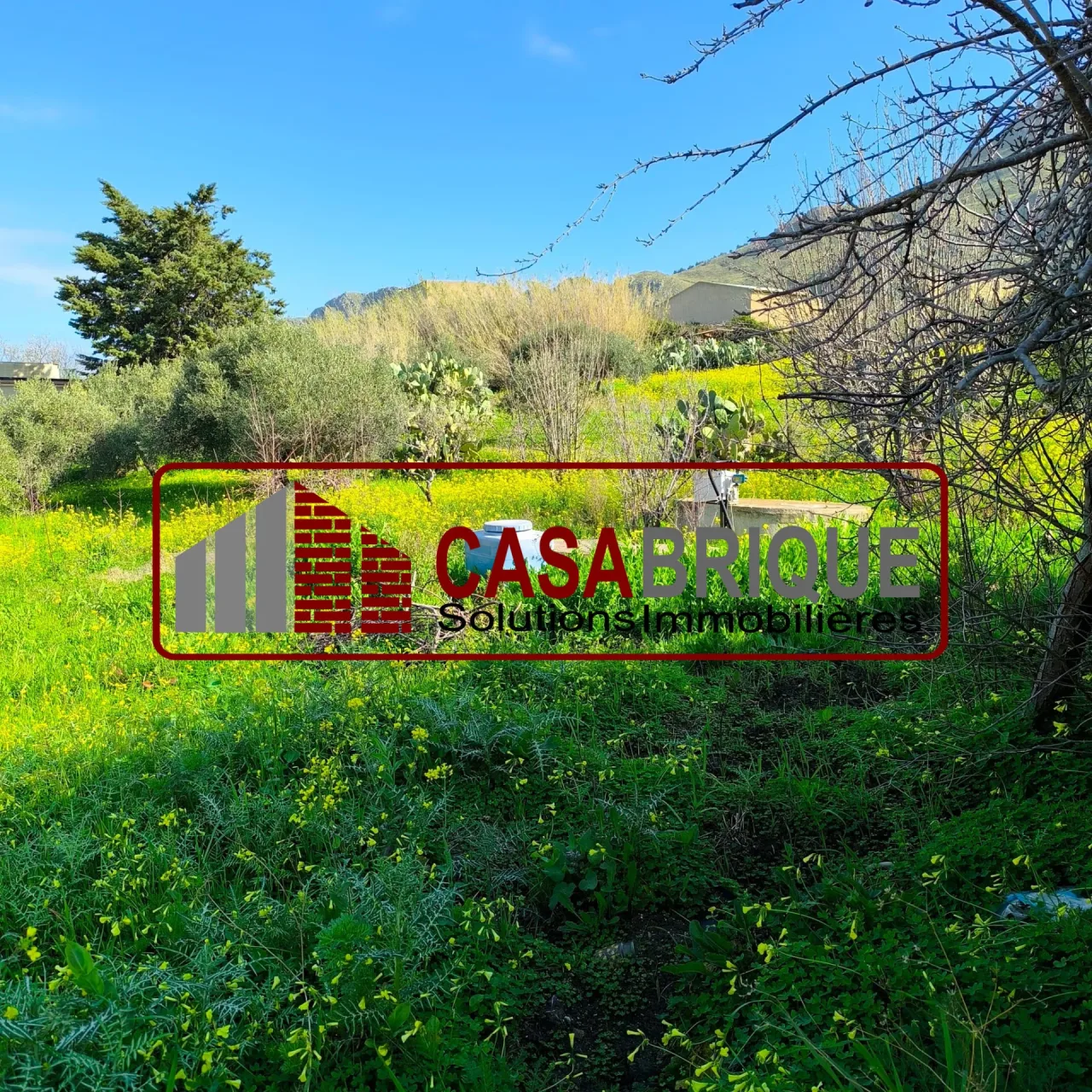 Villa à vendre à Ventimiglia di Sicilia, Sicile – photo 6